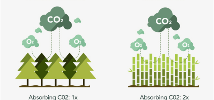 Ekologiczne deski kompozytowe thermo-bambus (do NRO) vs. twarde drewno